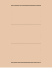 Sheet of 5" x 3" Light Tan labels