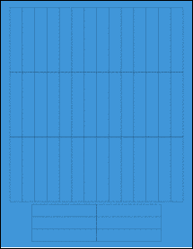 Sheet of 0.55" x 2.875" True Blue labels