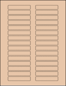 Sheet of 2.9134" x 0.5315" Light Tan labels
