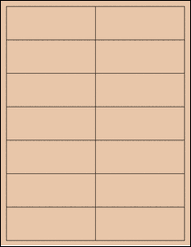 Sheet of 4" x 1.5" Light Tan labels