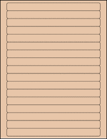 Sheet of 7.5" x 0.625" Light Tan labels