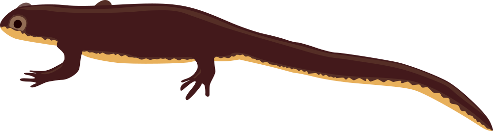 OnlineLabels Clip Art - Newt