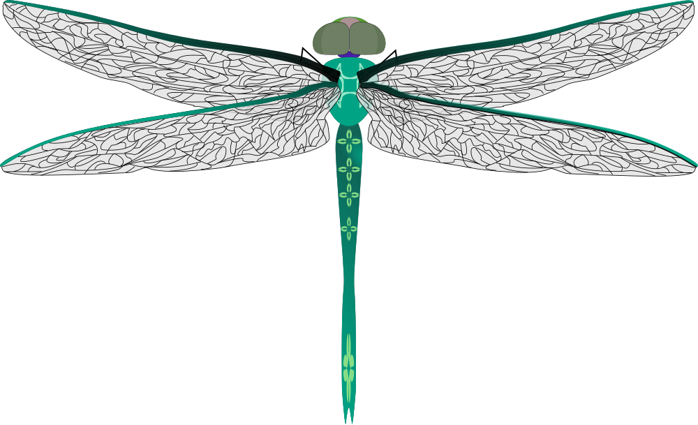 Download OnlineLabels Clip Art - Teal Dragonfly