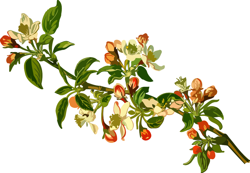 OnlineLabels Clip Art - Apple Tree (Low Resolution)