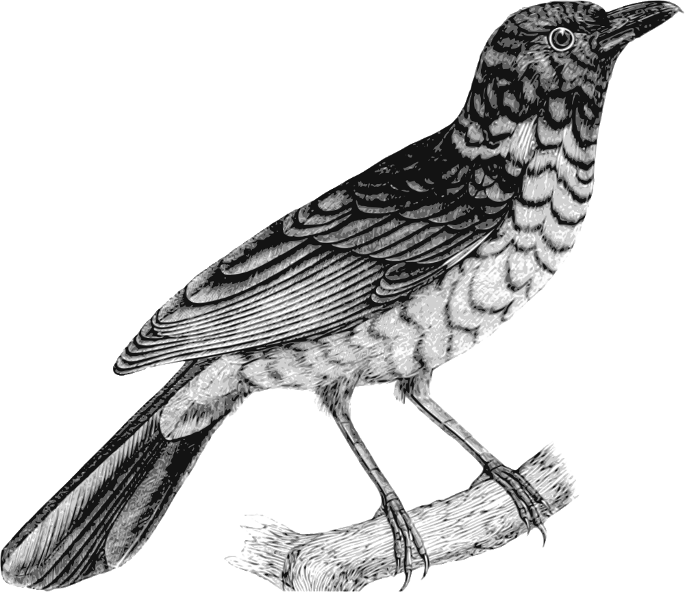 OnlineLabels Clip Art - Bird 7