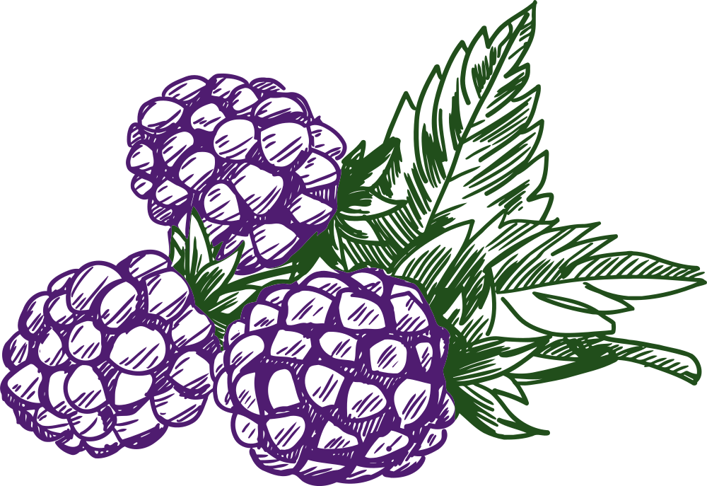 Free Free Blackberry Fruit Svg 494 SVG PNG EPS DXF File