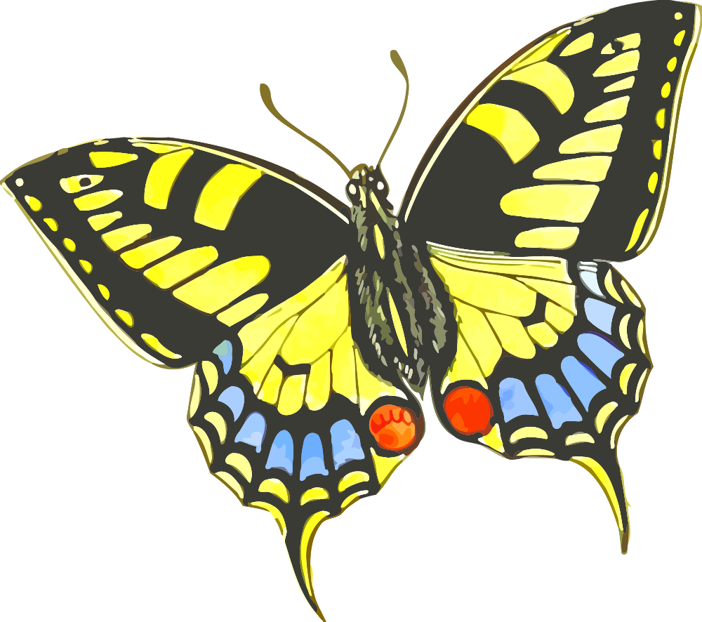 OnlineLabels Clip Art - Butterfly