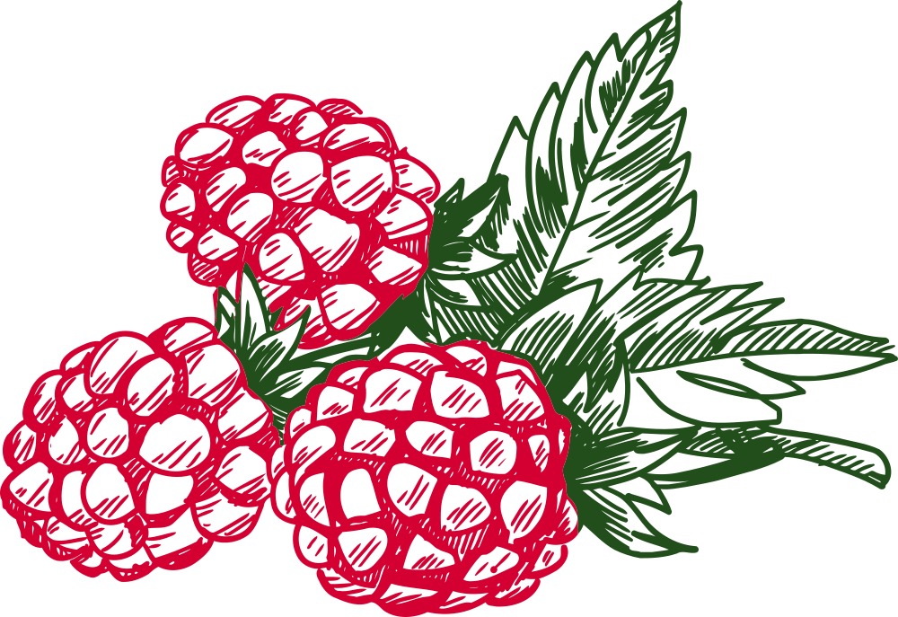 OnlineLabels Clip Art - Raspberry 4