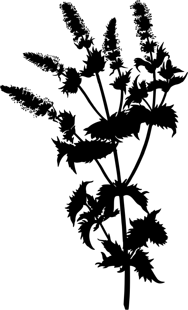 OnlineLabels Clip Art - Spearmint (Silhouette)