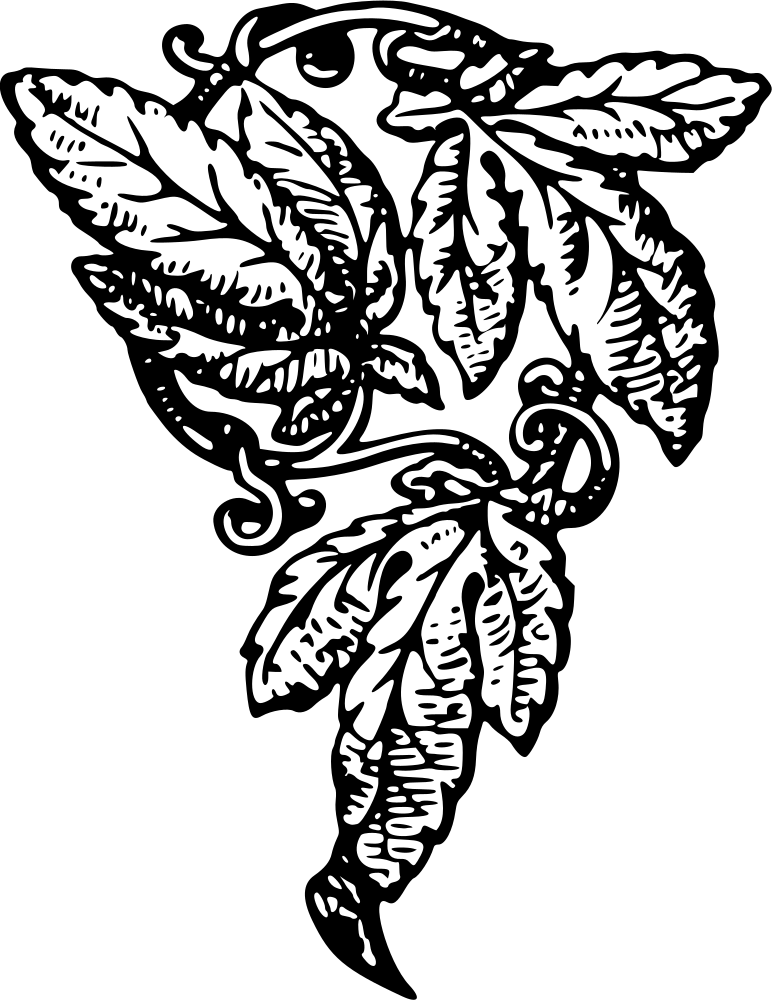 OnlineLabels Clip Art - Vine 2