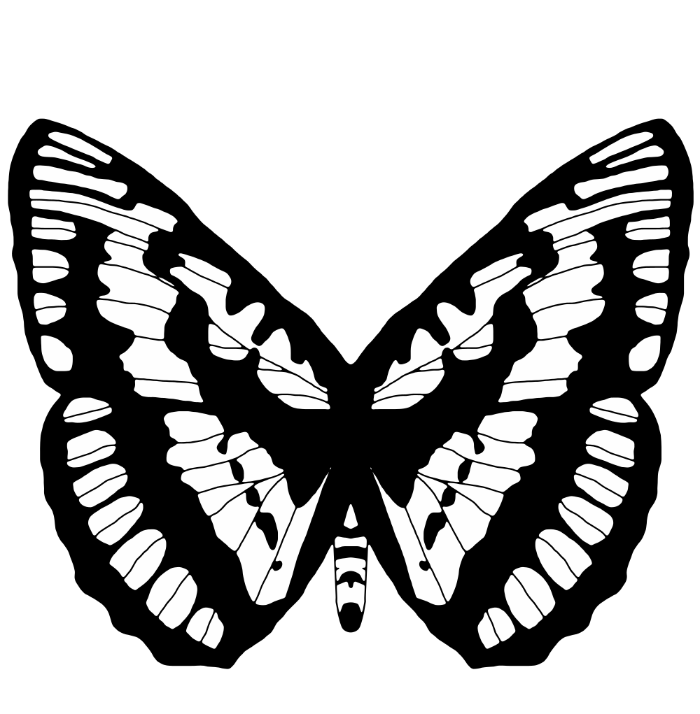 Free Free 197 Black And White Butterfly Svg SVG PNG EPS DXF File