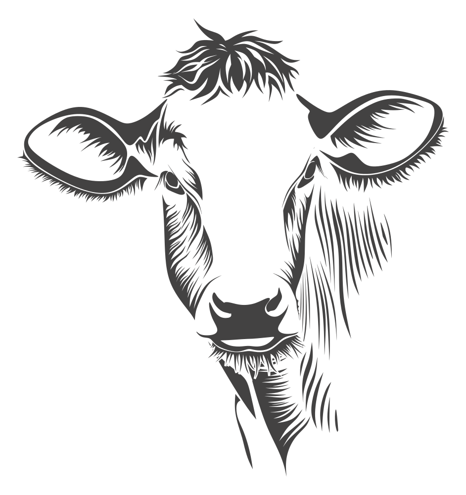 Download OnlineLabels Clip Art - Detailed Cow Line Art.