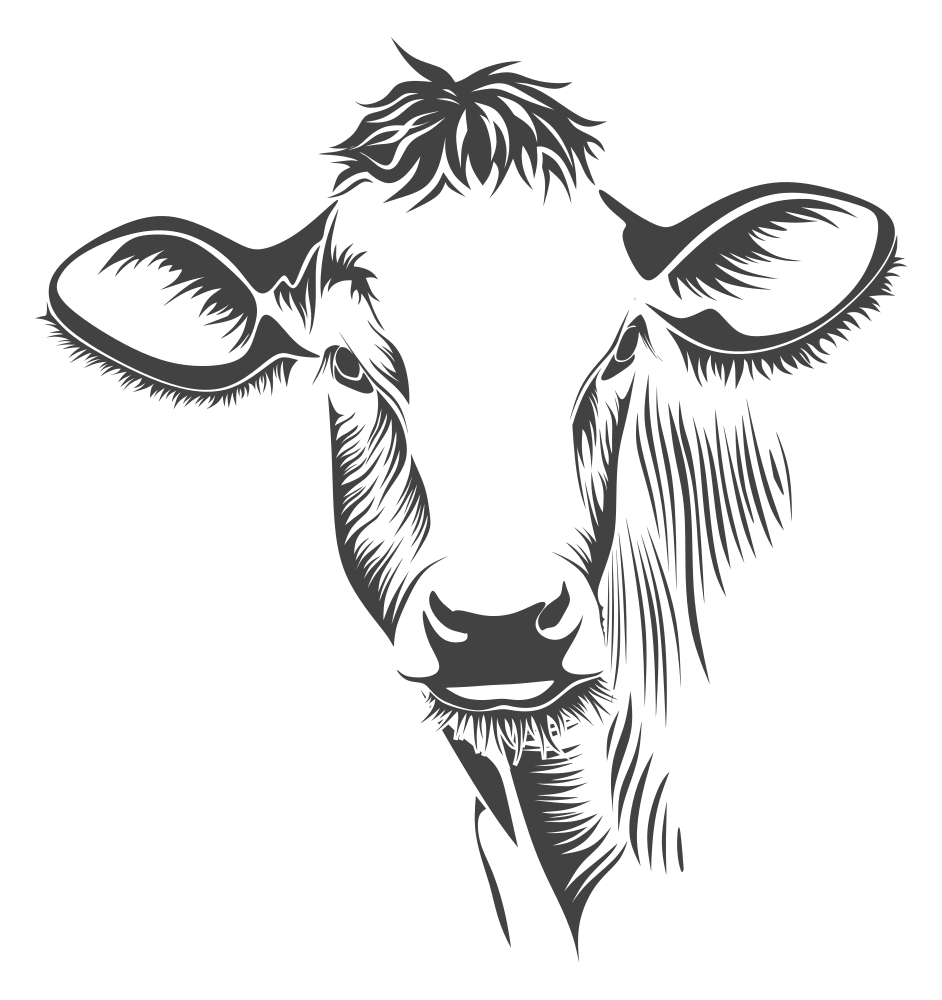 OnlineLabels Clip Art - Detailed Cow Line Art