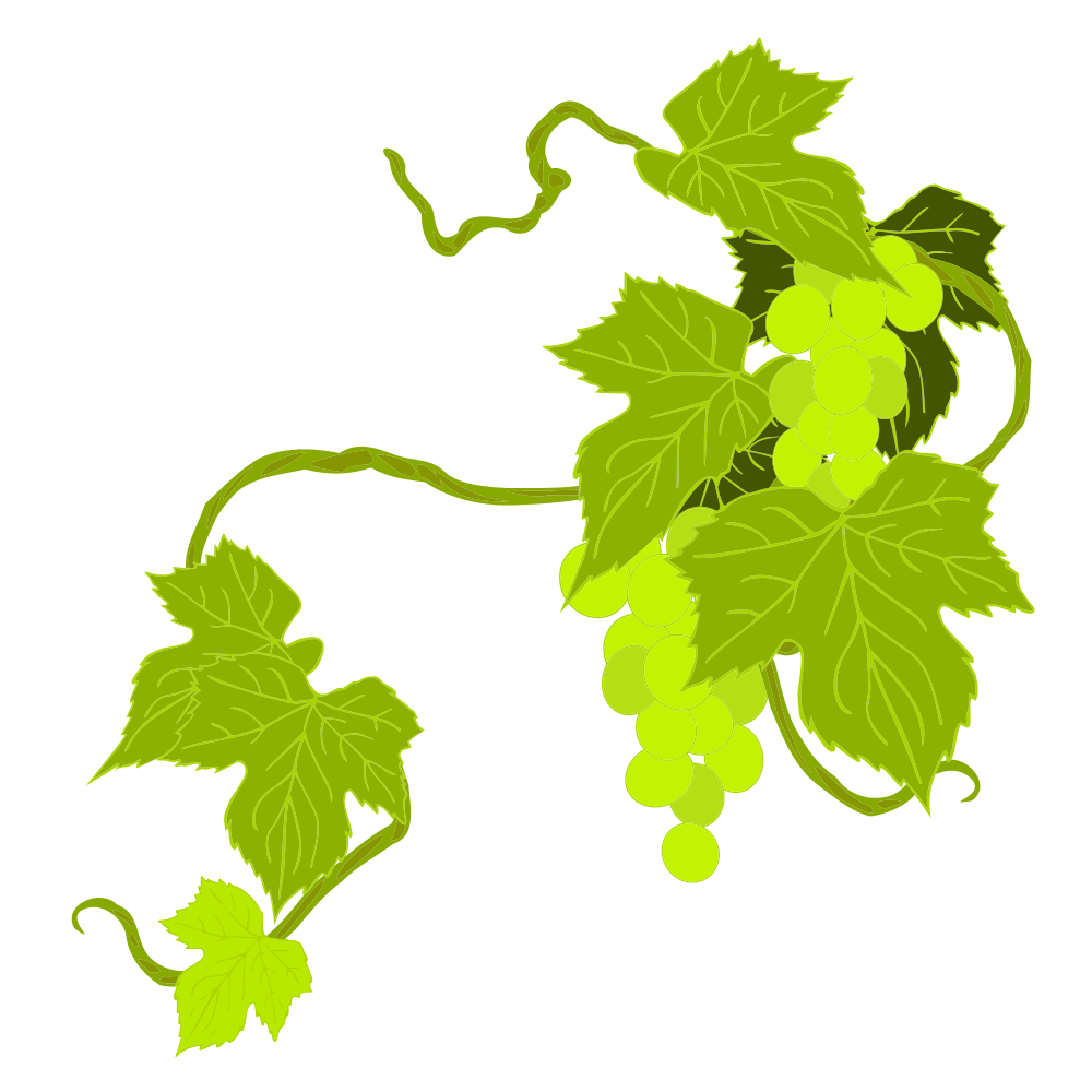 Here you can find the leaf vine clipart image. 