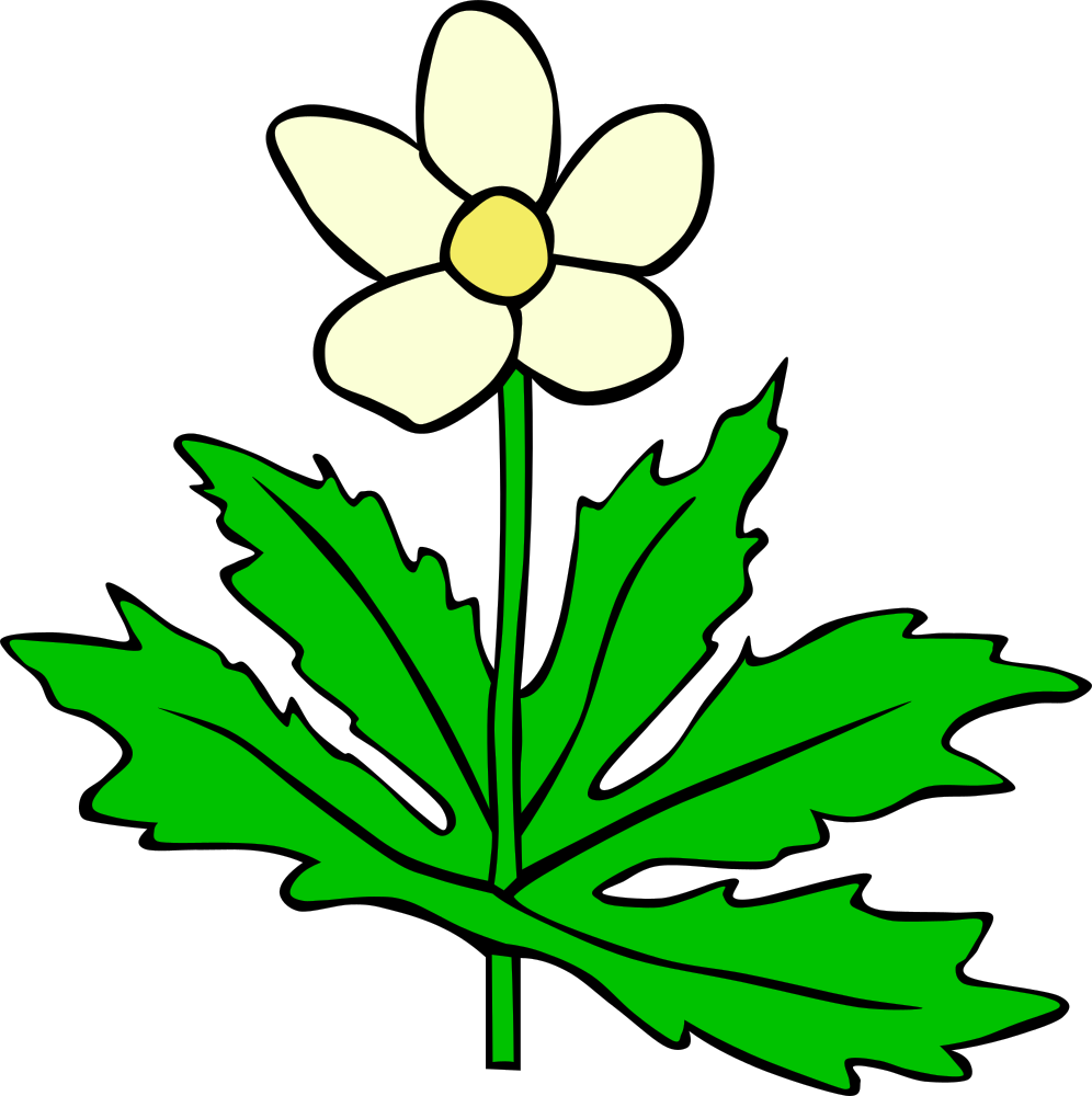 OnlineLabels Clip Art - GG Anemone Canadensis