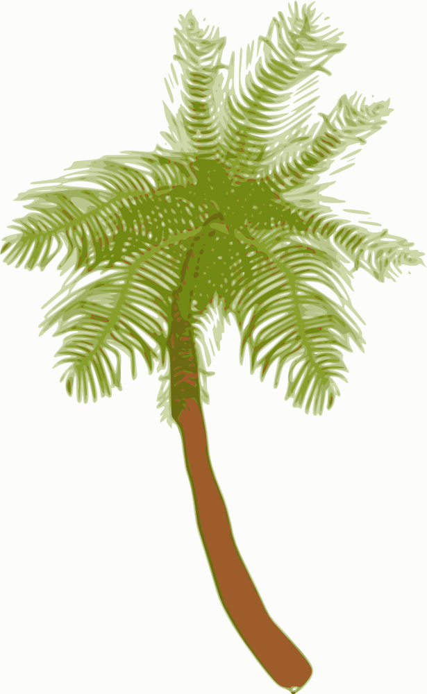 OnlineLabels Clip Art - Coconut Tree