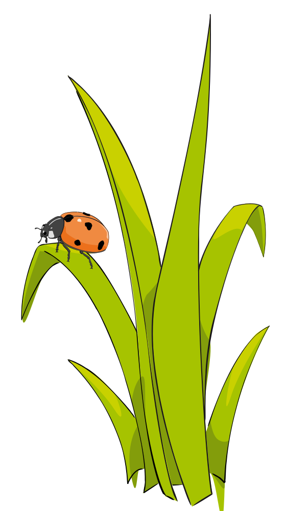 OnlineLabels Clip Art - Coccinelle Sur Brin D-Herbe - Ladybird On Blade ...