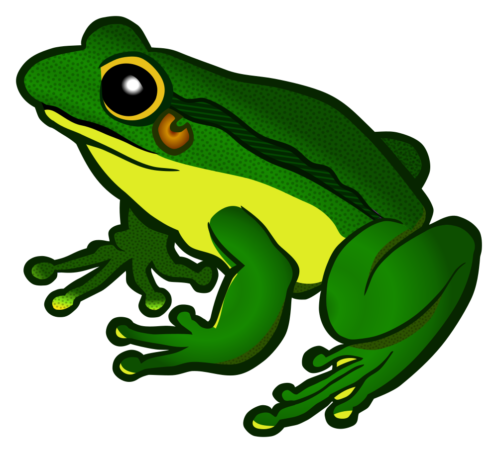 frog%20 %20coloured 214691