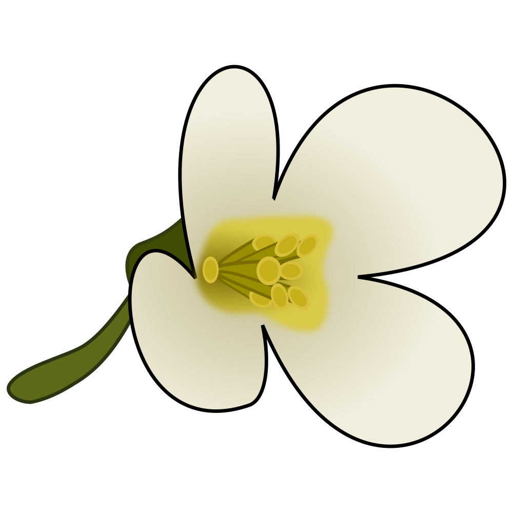 OnlineLabels Clip Art - Thaliana Flower