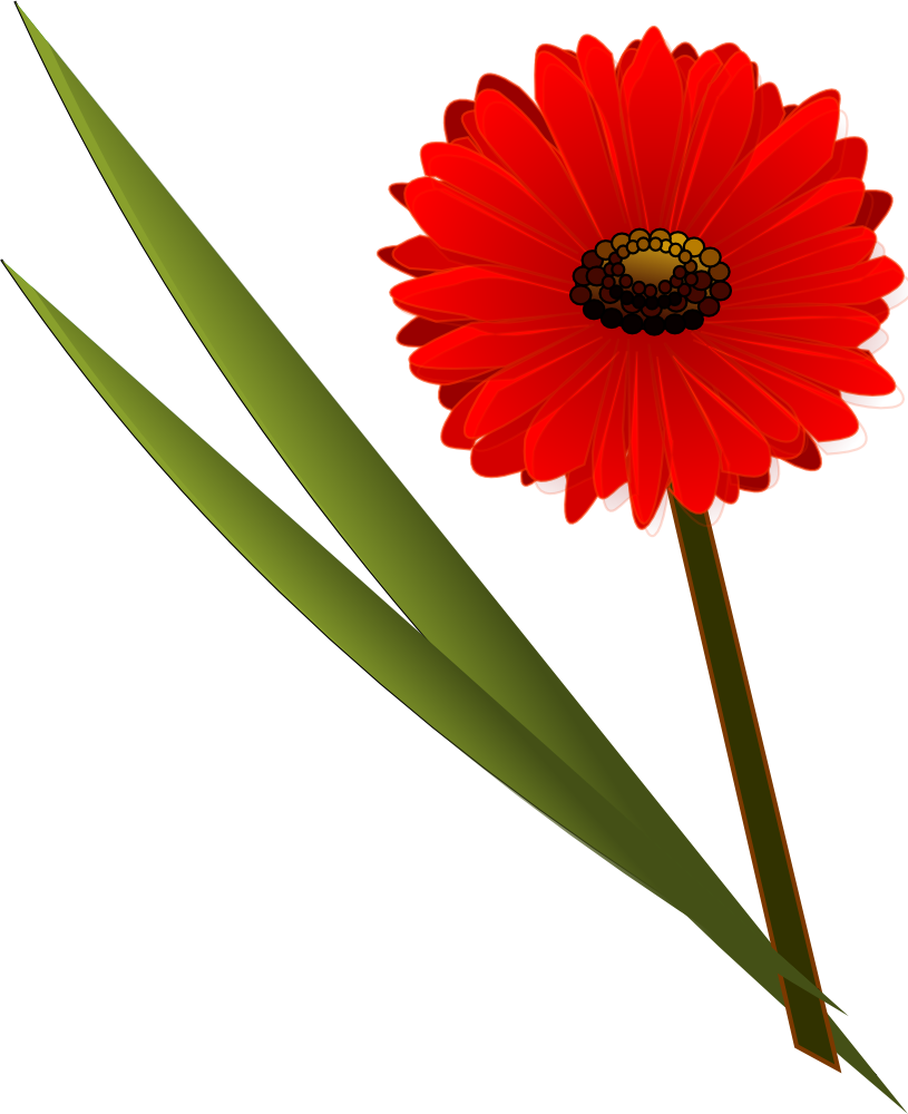 OnlineLabels Clip Art - Flowers_Gerbera