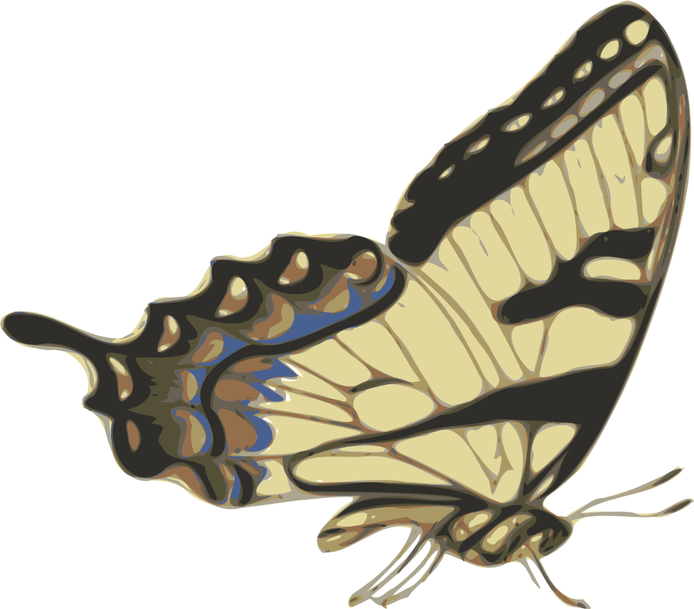 Free Free 275 Svg Butterfly Side View Flying SVG PNG EPS DXF File