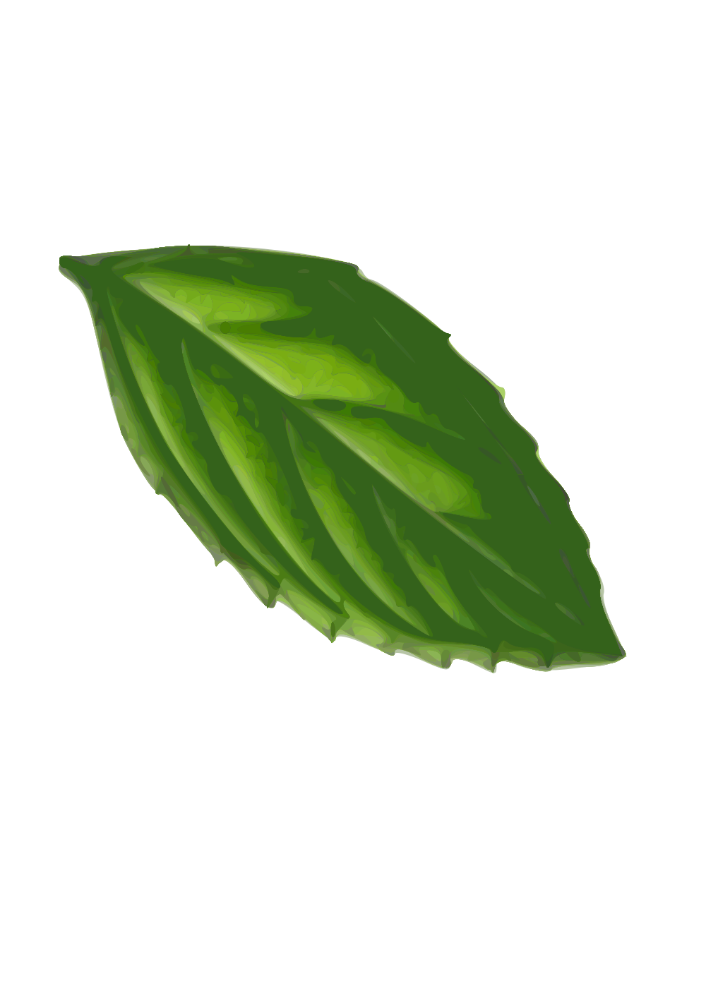 Download OnlineLabels Clip Art - Mint Leaf( Traced)