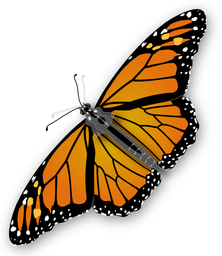 onlinelabels-clip-art-monarch-butterfly