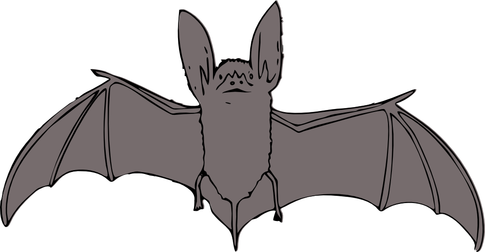 Download OnlineLabels Clip Art - Bat