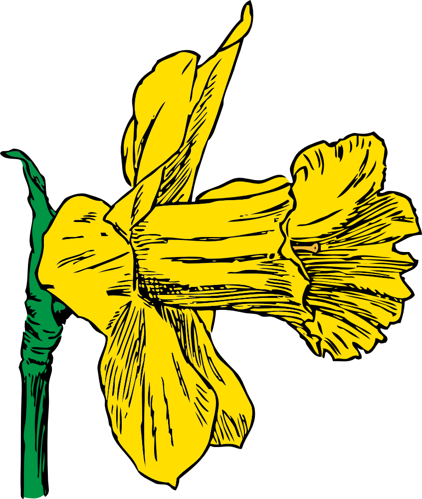 Onlinelabels Clip Art Daffodil