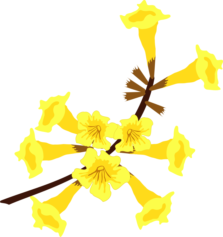 Download OnlineLabels Clip Art - Ipê Amarelo Flor