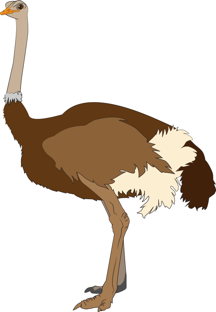 OnlineLabels Clip Art - Ostrich