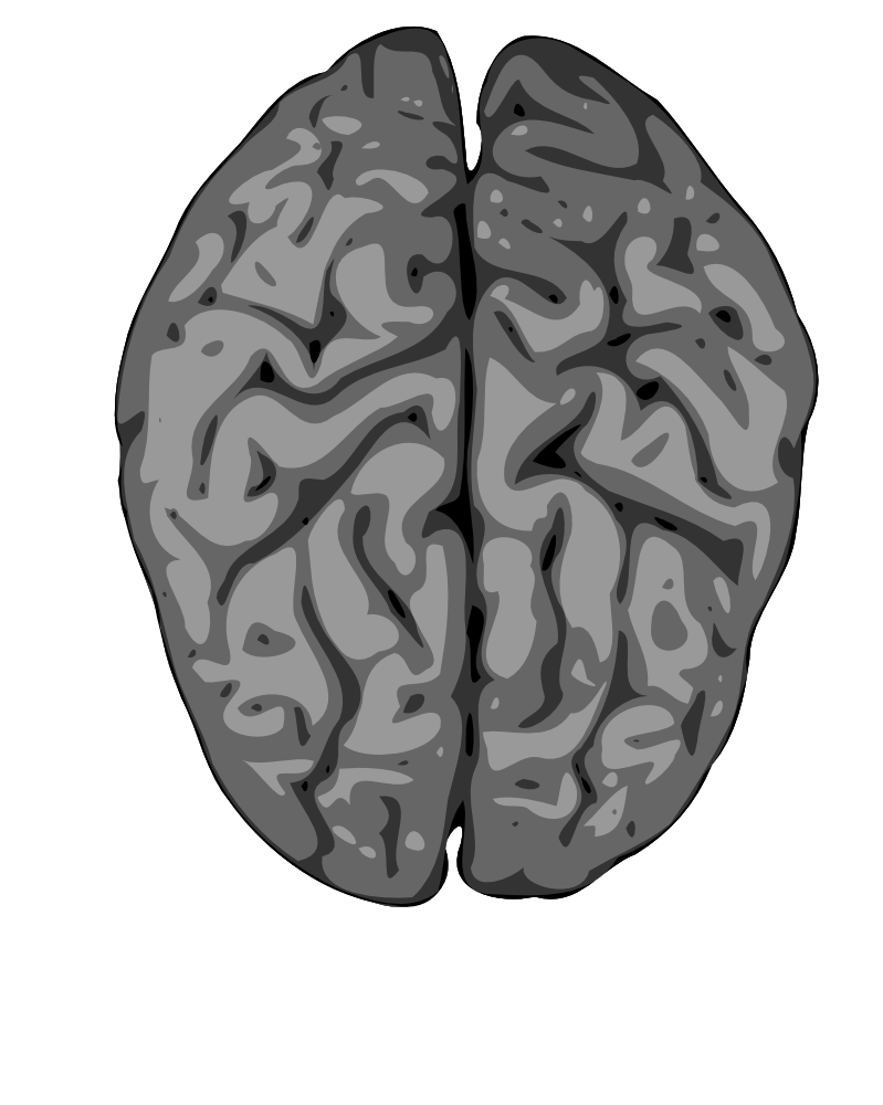 Download OnlineLabels Clip Art - Grey Brain