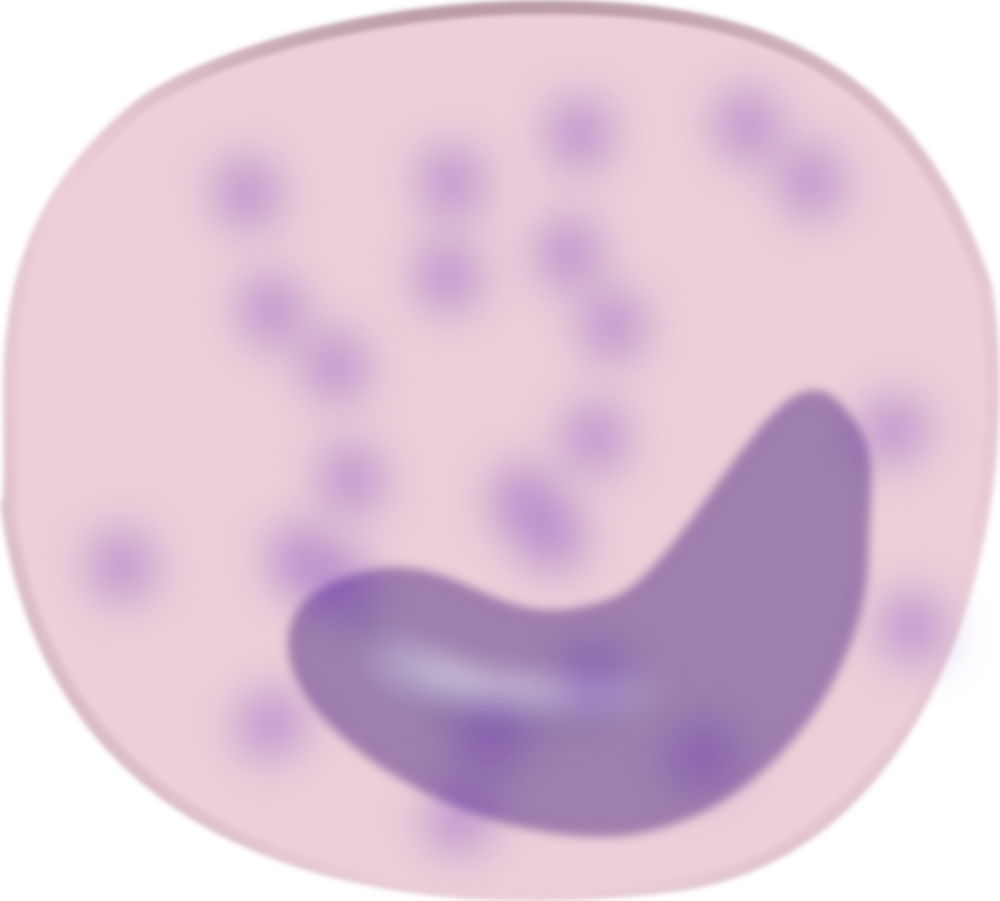 OnlineLabels Clip Art - Monocyte