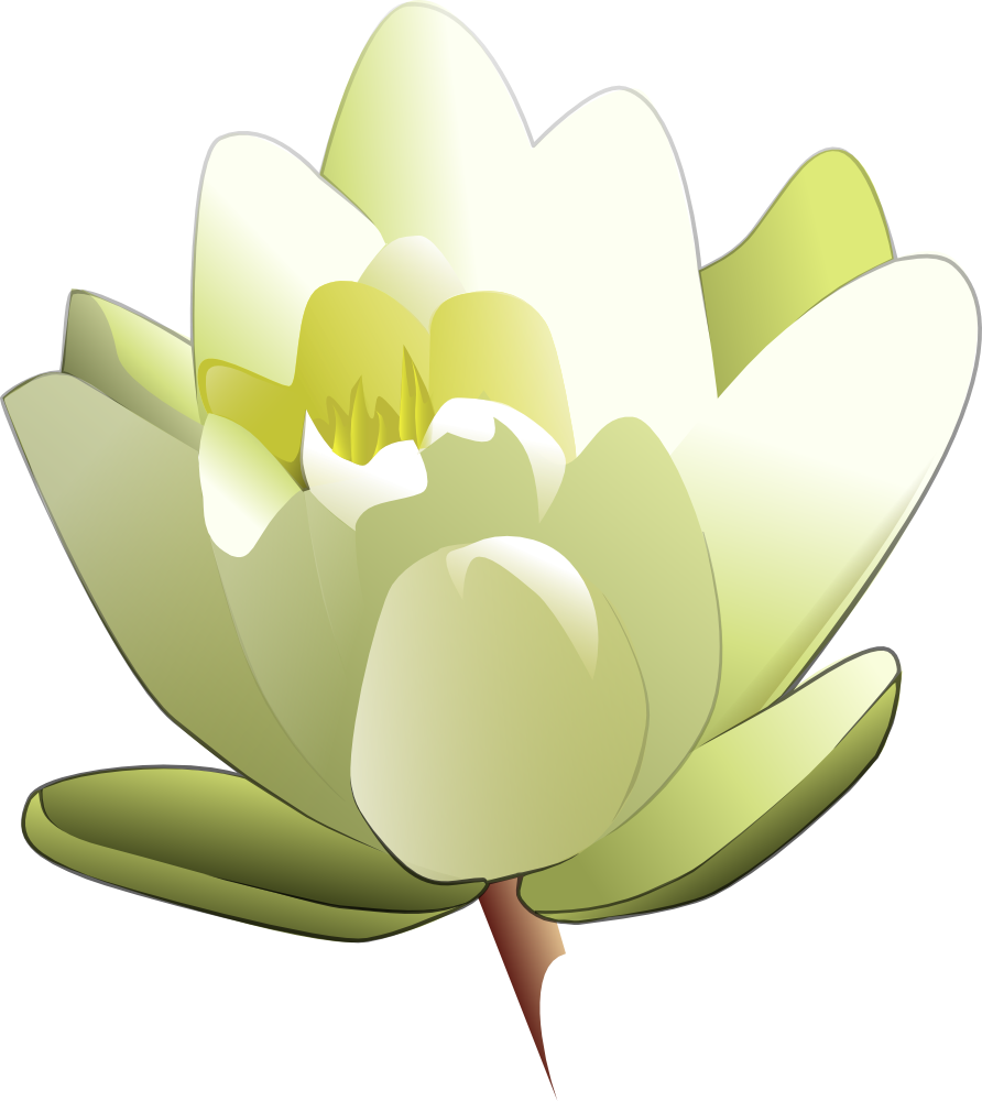 Download OnlineLabels Clip Art - Water Lily