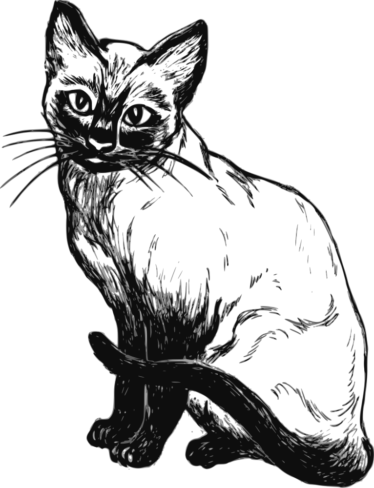 OnlineLabels Clip Art - Siamese Cat (766 x 1000 Pixel)