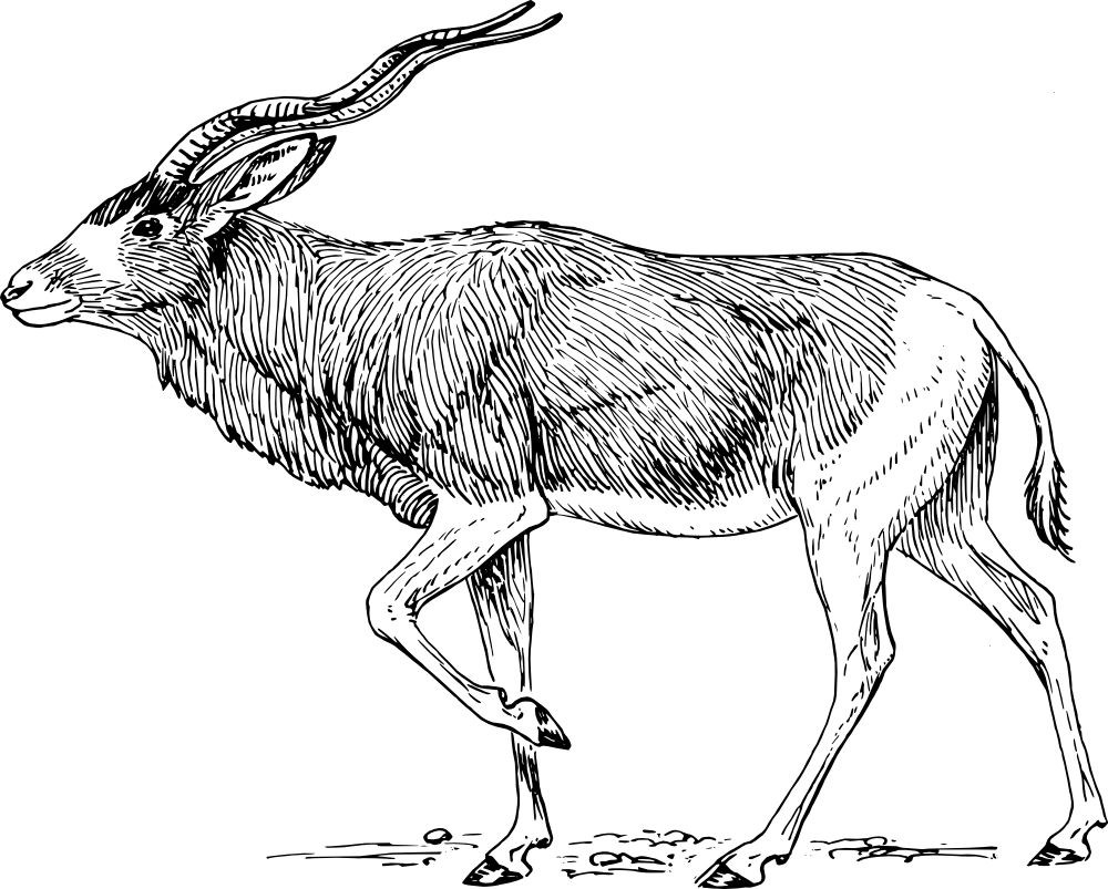 OnlineLabels Clip Art - Addax Antelope