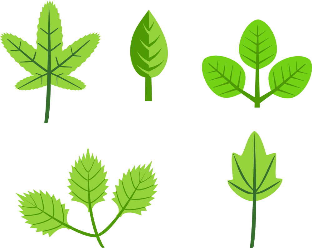 OnlineLabels Clip Art - Set Of Leaves