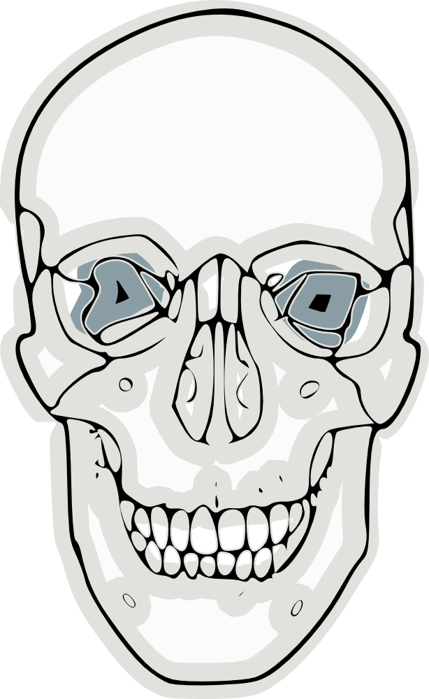 Onlinelabels Clip Art Digitalized Human Skull