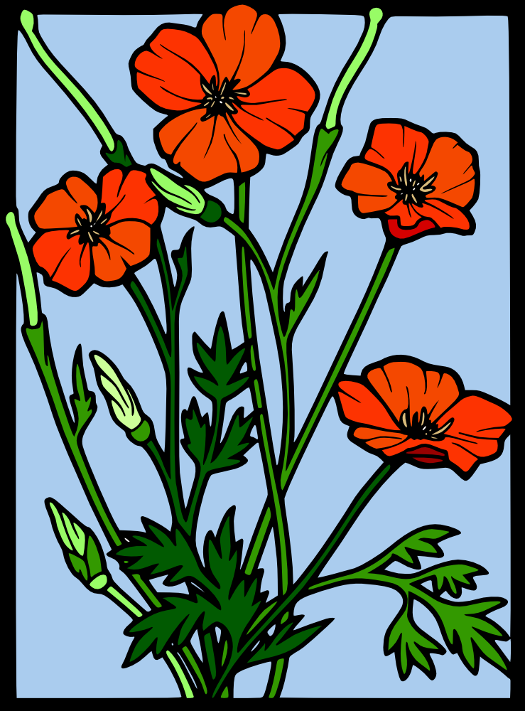 OnlineLabels Clip Art - Coloured Poppy Stained Glass