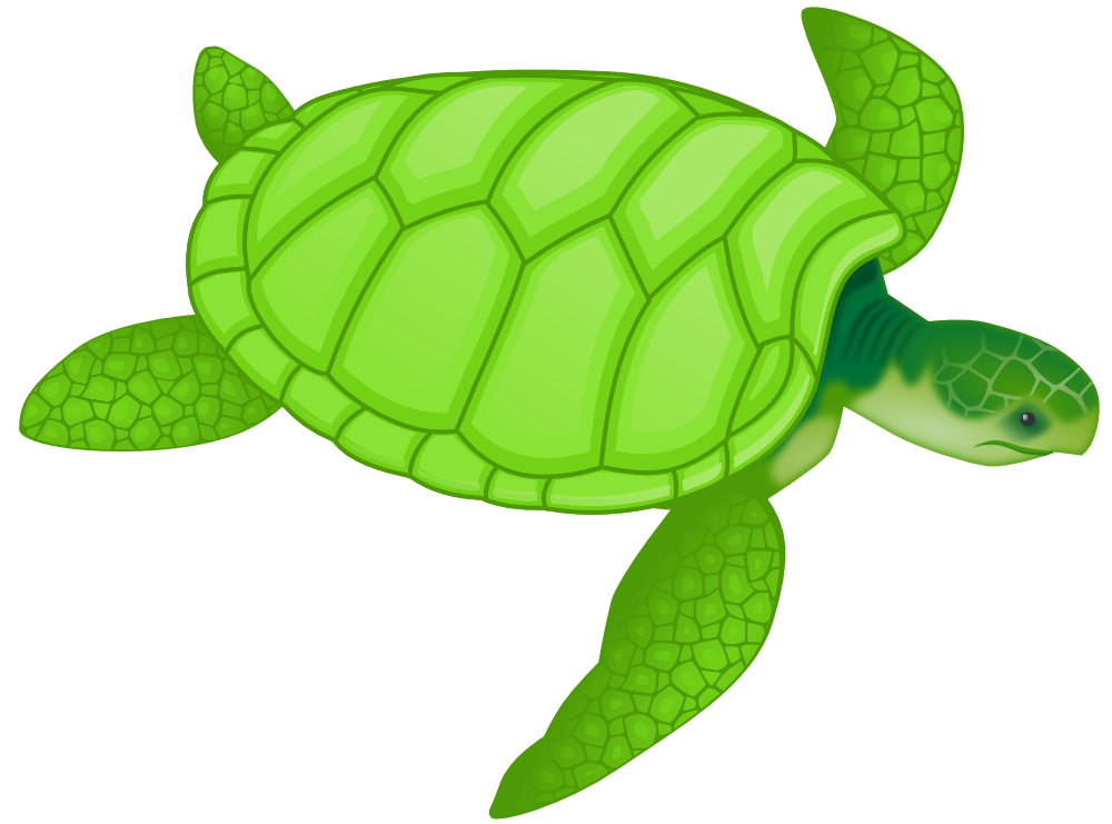 Download OnlineLabels Clip Art - Green Sea Turtle