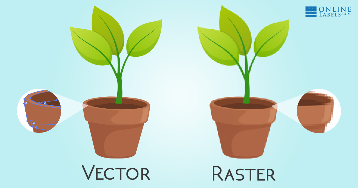 Vector vs raster.