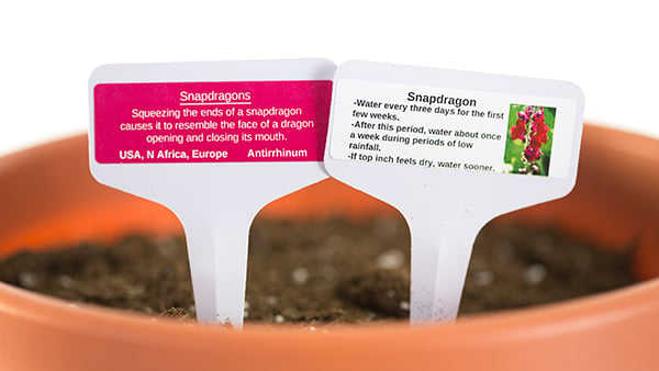 Making Your Garden Pop with Plant Marker Labels